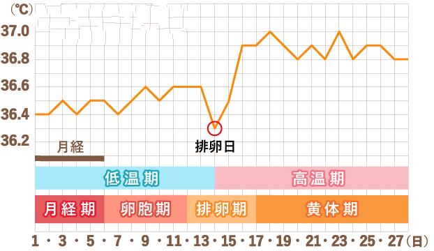 排卵期当天症状,最新热门含义落实_精简版77.142.198.222